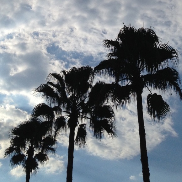 Meet your Posher, Makenzie - Picture 1 of 1